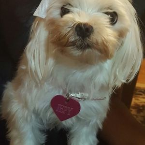 Meet your Posher, Raquel